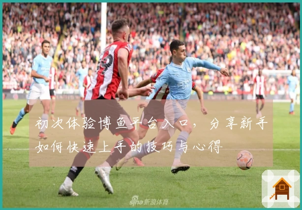 初次体验博鱼平台入口,分享新手如何快速上手的技巧与心得