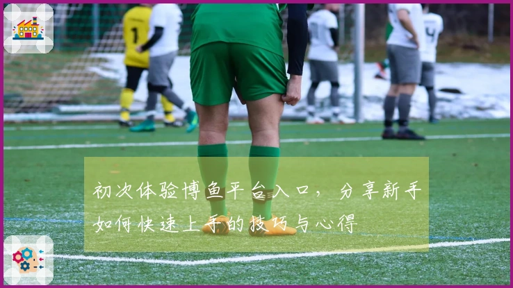 初次体验博鱼平台入口，分享新手如何快速上手的技巧与心得
