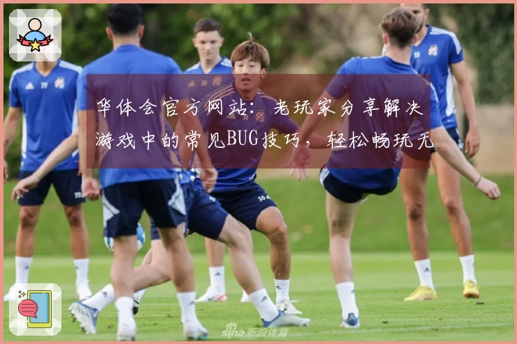 华体会官方网站：老玩家分享解决游戏中的常见BUG技巧，轻松畅玩无阻